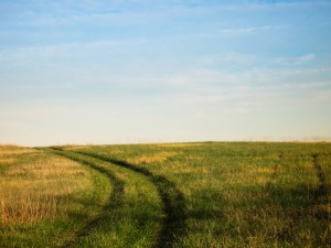 grass field path