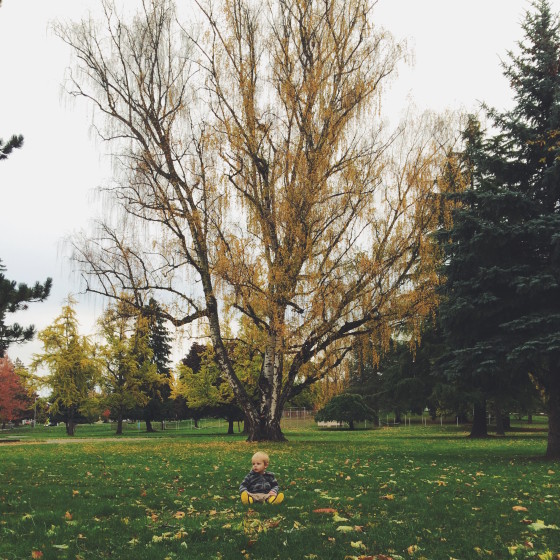 time with the boy in the park